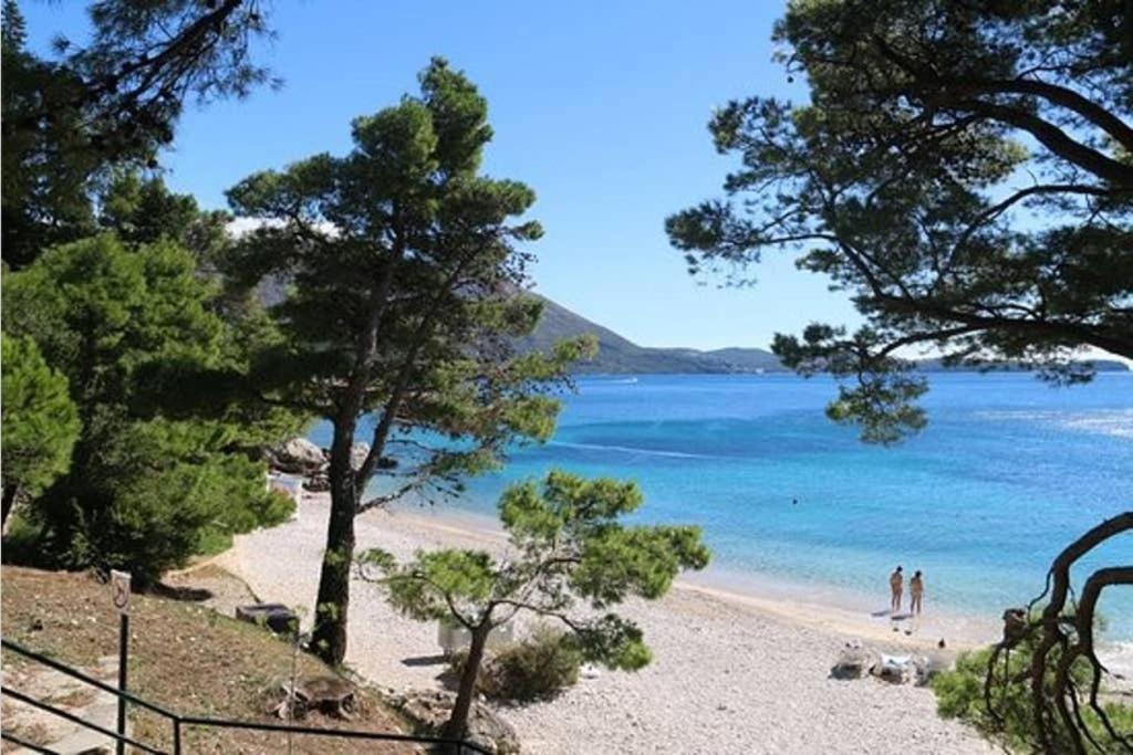 Apartman Near Fazana-500 From The Sea Extérieur photo